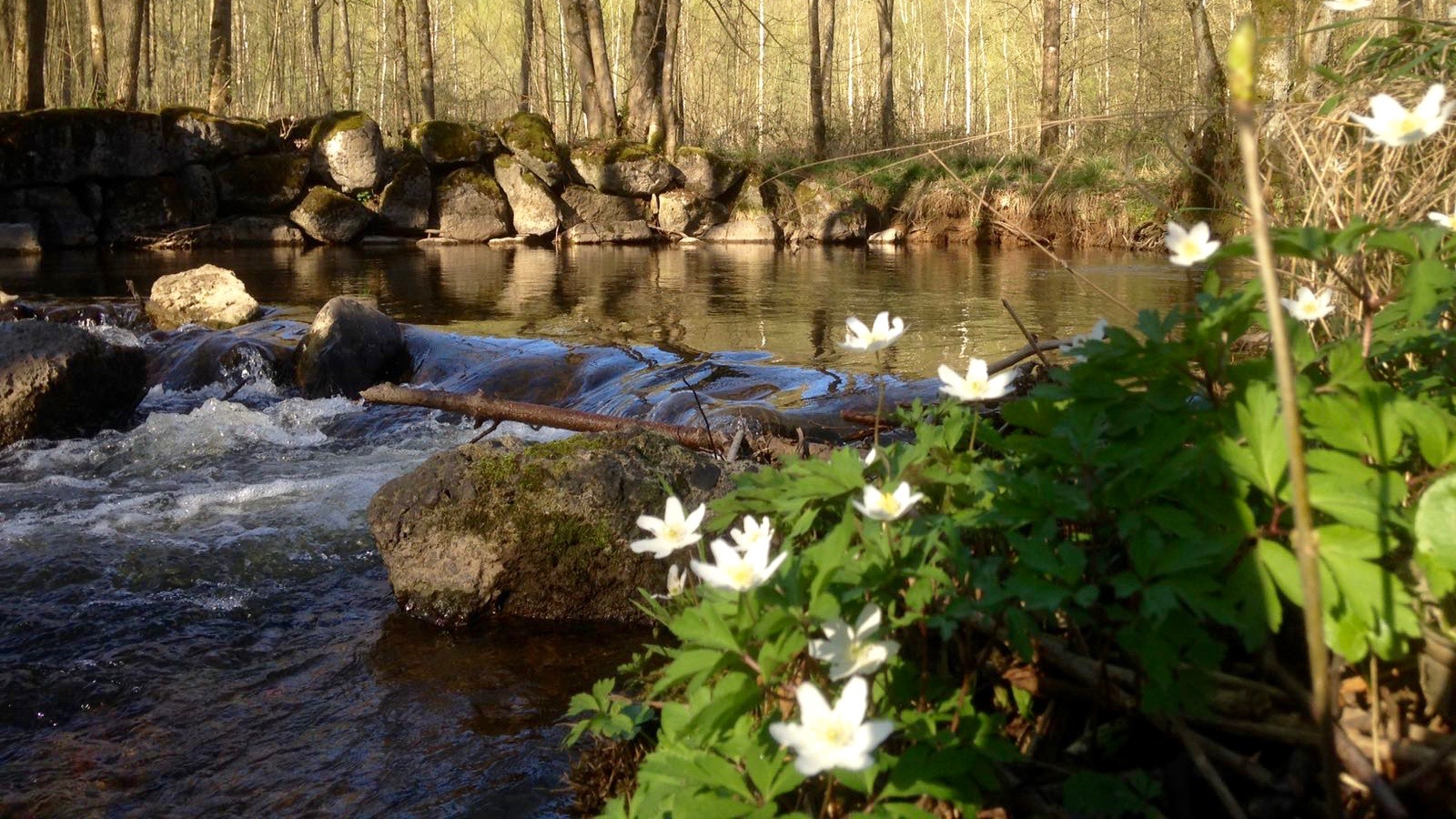 Breath Meditation Weekend / 2-persons 3 - 5 March 2023
