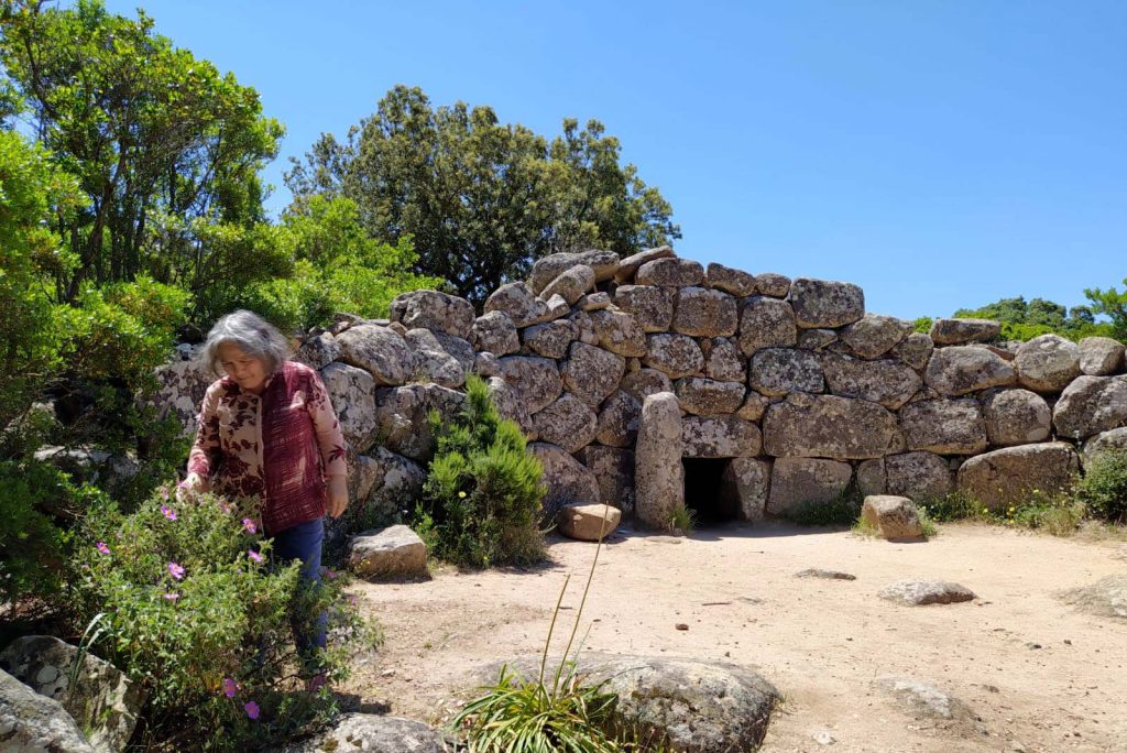 Private room: Causal Investigation Shamanic Retreat
