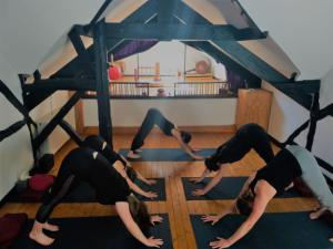 Private room: Yoga Workshop 30 juni - 2 juli 2023