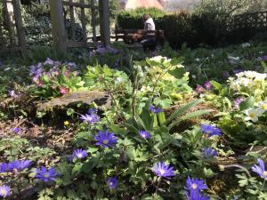 Nâm Weekend of Silence - private room