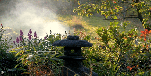 Beautiful Garden Asharum Amonines | Asharum Amonines | Asharum Amonines retraite centrum Asharum Amonines - het uiteindelijke perspectief - een visie op omgaan met moeilijke omstandigheden