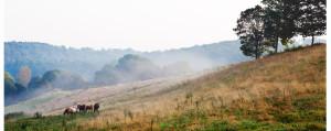 Nabij retraite centrum in Belgische Ardennen Ardennen - Asharum Amonines