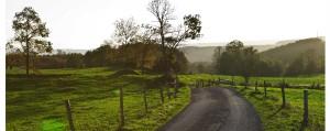 Nabij Retraite centrum in Belgische Ardennen - Asharum Amonines locatie