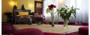Nâm retraite centrum - De Essentie van Meditatie - Meditatie Ruimte Asharum Amonines