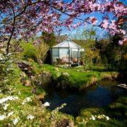 detox, meditatie, reiniging, vrouwenweek, tai chi, yoga, chiqung