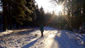 Winter in Belgische Ardennen