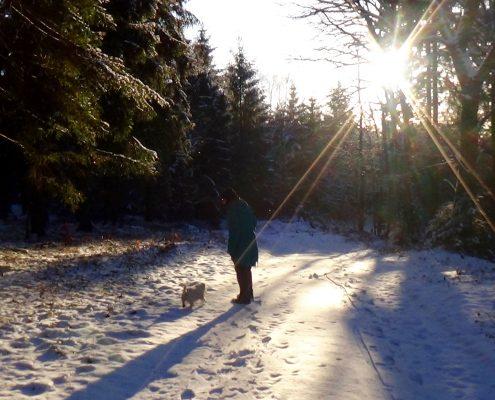 Winter in Belgische Ardennen