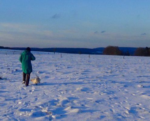 Winter in Belgische Ardennen