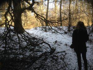 Winter in Belgische Ardennen