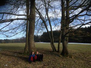 Winter in Belgische Ardennen