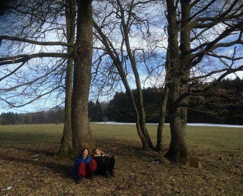 Winter in Belgische Ardennen