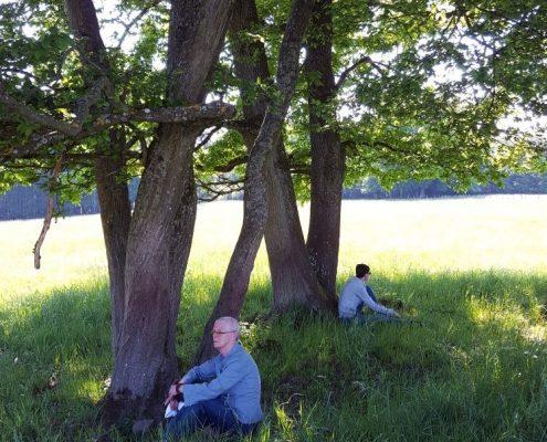 Nabij retraite centrum in Belgie Asharum Amonines - wandeling en meditatie in natuur