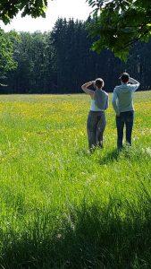Nabij retraite centrum Asharum Amonines - Wandeling