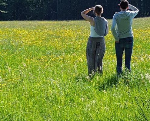 Nabij retraite centrum Asharum Amonines - Wandeling