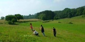Zomer in Belgische Ardennen