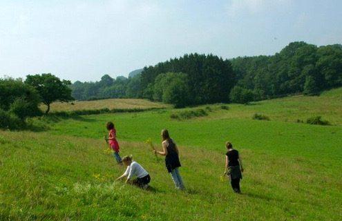 Zomer in Belgische Ardennen