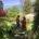 retraite centrum, meditatie retraite, retraite, spiritueel, stilte retraite, trancendentie