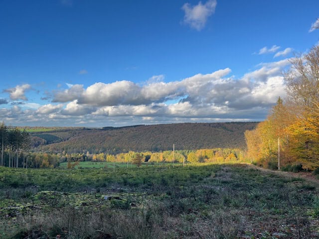 IMG_1477-1jpeg LAGE RESOLUTIE