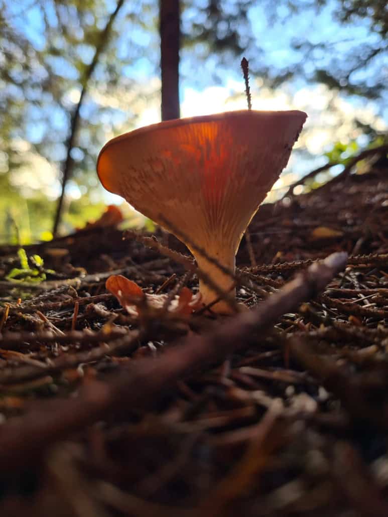 WhatsApp Image 2025-11-10 at 164558