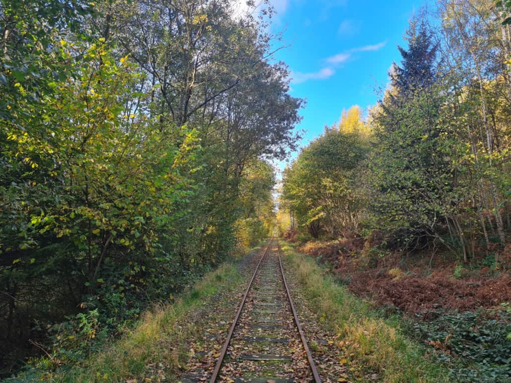 WhatsApp Image 2025-11-10 at 164559 1