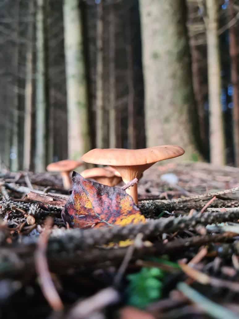 WhatsApp Image 2025-11-10 at 164559