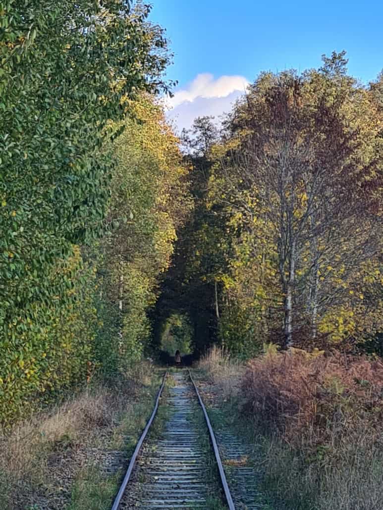 WhatsApp Image 2025-11-10 at 164600