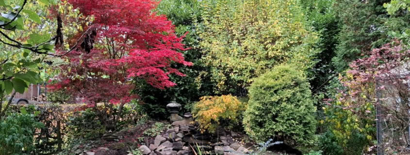 photo_6025990638895482431_y | Asharum Amonines