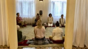 Screenshot | Asharum Amonines