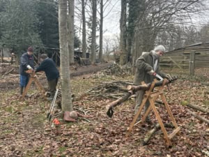 IMG_4531 | Asharum Amonines