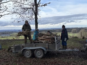 IMG_4552 | Asharum Amonines