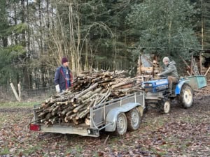 IMG_4555 | Asharum Amonines