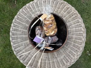 IMG_5033 | Asharum Amonines