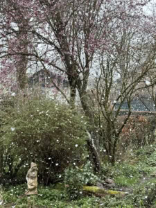 Garden scene with a pink-flowered tree in bloom, petals drifting down over shrubs and a stone statue in the foreground.