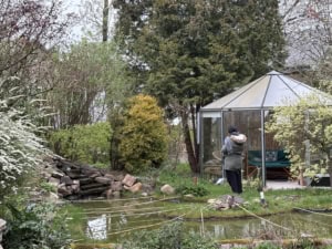 Person in a gray coat standing in a backyard garden beside a glass greenhouse, with a small pond, rocks, and lush shrubs surrounding them.
