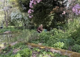 Woman kneeling by a small pond in a lush garden, tending plants beneath pink blossoms.
