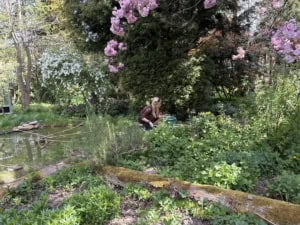 Woman kneeling by a small pond in a lush garden, tending plants beneath pink blossoms.