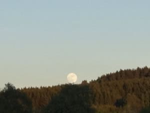 Full moon rising above a tree-covered hillside at dusk in a pale blue sky.