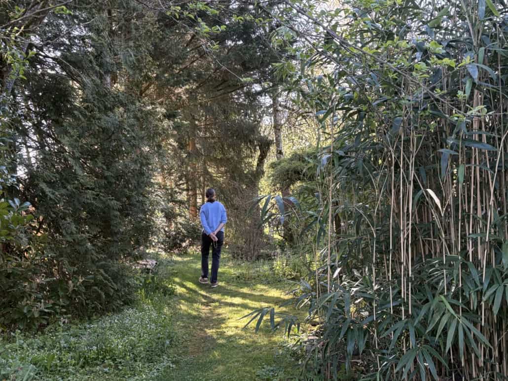 Person wearing a blue shirt stands with hands behind back on a grassy garden path, framed by dense green bushes and trees.