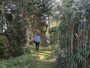 Person wearing a blue shirt stands with hands behind back on a grassy garden path, framed by dense green bushes and trees.