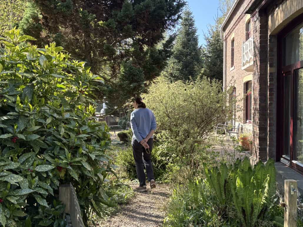 Person with a blue sweater seen from behind, hands clasped, walking along a gravel path beside a brick building with lush garden plants around.