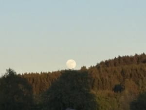 Full moon rising behind a forested hillside at dusk, pale sky above.