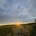 Sunset over a green field with white wildflowers in the foreground, a fence and trees along the right edge.”]},{