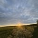 Sunset over a green field with white wildflowers in the foreground, a fence and trees along the right edge.”]},{
