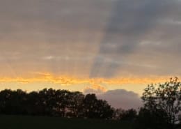 Sunset scene with orange glow over a dark treeline and cloudy sky in the distance.