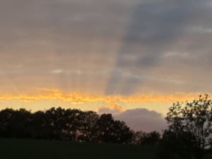 Sunset scene with orange glow over a dark treeline and cloudy sky in the distance.
