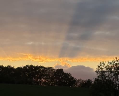Sunset scene with orange glow over a dark treeline and cloudy sky in the distance.