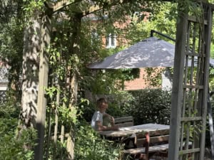 IMG_6165 2 | Asharum Amonines